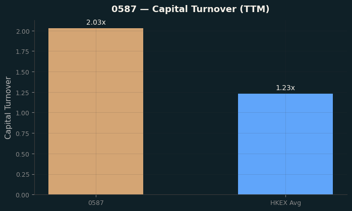 Capital Turnover