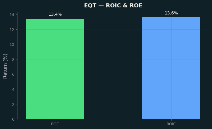 ROIC & ROE